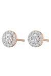 Buy Divine Solitaires Rose Gold Imitation Diamonds Round Solitaire Studs at Aza Fashions Buy_Divine Solitaires_Rose Gold Imitation Diamonds Round Solitaire Studs_at_Aza_Fashions