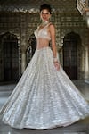 Buy_Seema Gujral_Silver Net Embroidery Mirror Plunge Neck Linear Lehenga Set _Online_at_Aza_Fashions