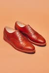 Buy_Dmodot_Brown Brogue Alto Bruno Capto Oxford Shoes _at_Aza_Fashions