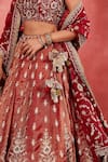 Buy_Sue Mue_Red Handwoven Cotton Tissue Embroidered Thread Leila Floral Lehenga Blouse Set 