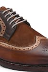 IVRAH_Brown Patrick Brogue Pattern Derby Shoes _Online_at_Aza_Fashions