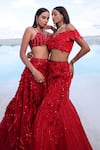 Shop_PIRI INDIA_Red Net Embroidery 3d Floral V Neck Isa Fish Cut Lehenga With Blouse 