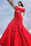 PIRI INDIA_Red Net Embroidery 3d Floral V Neck Isa Fish Cut Lehenga With Blouse _Online_at_Aza_Fashions