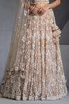 Chaashni By Maansi And Ketan_Brown Net Cut Work, Sequins, Pearls Floral Veli Embroidered Lehenga Set _Online_at_Aza_Fashions