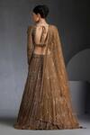 Shop_Chaashni By Maansi And Ketan_Gold Net Sequins, Cut Work Plunge Neck Zircons Embroidered Lehenga Set _at_Aza_Fashions