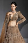 Buy_Chaashni By Maansi And Ketan_Gold Net Sequins, Cut Work Plunge Neck Zircons Embroidered Lehenga Set _Online_at_Aza_Fashions