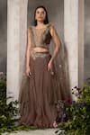 Buy_Divisha Sharma_Brown Silk Organza Embellished Feather Illusion Sheer Round Blouse And Skirt Set _at_Aza_Fashions