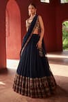 Buy_Reynu Taandon_Blue Georgette Embroidered Kalamkari Leaf Print Border Lehenga Saree With Blouse _at_Aza_Fashions