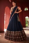 Shop_Reynu Taandon_Blue Georgette Embroidered Kalamkari Leaf Print Border Lehenga Saree With Blouse _at_Aza_Fashions