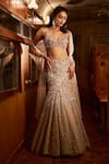 Buy_Seema Gujral_Brown Net Embellished Sequin Sweetheart Crystal Mermaid Lehenga Set _at_Aza_Fashions