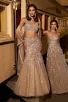 Seema Gujral_Brown Net Embellished Sequin Sweetheart Crystal Mermaid Lehenga Set _Online_at_Aza_Fashions