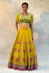 Shop_Basil Leaf_Yellow Tussar Silk Embroidered Mirror Cutwork V Floral Pattern Lehenga Set _Online_at_Aza_Fashions