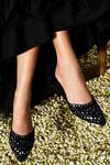 Shop_SKO_Black Cut Dana Midnight Elegance Embroidered Mule Flats 