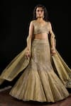 Buy_Reeti Arneja_Gold Double Georgette Embroidery Gota Amani Mughal Bahar Bridal Lehenga Set _at_Aza_Fashions