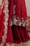 Aanchal Vijaywargi_Maroon Organza And Georgette Embroidery 3d Floral Adah Anarkali And Palazzo Set _Online_at_Aza_Fashions