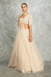 Tanu Malhotra_Ivory Net Embroidery Sequins V-neck Pleated Lehenga Set _at_Aza_Fashions