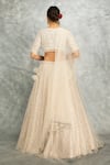 Shop_Tanu Malhotra_Ivory Net Embroidery Sequins V-neck Pleated Lehenga Set _at_Aza_Fashions