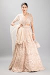 mehar_Beige Soft Net Hand Embroidered Floral Scallop V Neck Stone Lehenga Set _at_Aza_Fashions