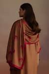 ROZA_Brown Hand Drawn Wood Apple Hand-drawn Stole _Online_at_Aza_Fashions