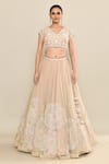 Buy_Kalighata_Grey Raw Silk Hand Embroidery Floral V Neck Canary Lehenga Set _Online_at_Aza_Fashions