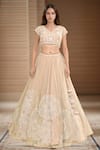 Buy_Kalighata_Grey Raw Silk Hand Embroidery Floral V Neck Canary Lehenga Set _at_Aza_Fashions