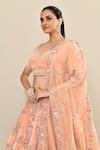 Buy_Kalighata_Peach Velvet Embroidery Floral Paan Neck Tania Rosette Lehenga Set 