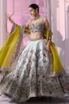 Label Ankush Jain_Grey Lehenga Pure Raw Silk Embroidered Zardozi Pigeon 3d Sequin Applique Set _Online_at_Aza_Fashions