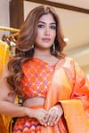 Pinki Sinha_Orange Pure Silk Handwoven Chevron Pattern Lehenga Set _Online_at_Aza_Fashions