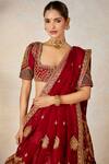 Masaba_Red Blouse- Heavy Raw Silk Embroidery Anant Bel The Anar Bagh Bridal Lehenga Set _Online