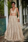 Bohame_Beige Raw Silk Embroidery Cutdana Plunge Neck Raina Hand Lehenga Set _at_Aza_Fashions