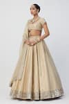 Vvani by Vani Vats_Gold Banarasi Shimmer Organza Embroidery Mirror Linear Lehenga Blouse Set _Online_at_Aza_Fashions