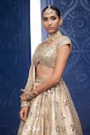 Vvani by Vani Vats_Gold Banarasi Shimmer Organza Embroidery Mirror Flower Bridal Lehenga Set _at_Aza_Fashions