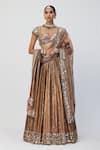 Vvani by Vani Vats_Brown Banarasi Shimmer Organza Embroidery Mirror Sweetheart Stripe Lehenga Set _Online_at_Aza_Fashions