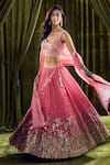 Shop_Alaya Advani_Pink Blouse Silk Hand Embroidery Butterfly Leaf Lehenga Set _Online