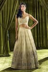 Shop_Alaya Advani_Cream Blouse Silk Hand Embroidery Elephant Sweetheart Lehenga Set _at_Aza_Fashions