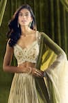 Shop_Alaya Advani_Cream Blouse Silk Hand Embroidery Elephant Sweetheart Lehenga Set _Online_at_Aza_Fashions