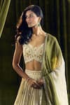 Buy_Alaya Advani_Cream Blouse Silk Hand Embroidery Elephant Sweetheart Lehenga Set 