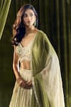 Shop_Alaya Advani_Cream Blouse Silk Hand Embroidery Elephant Sweetheart Lehenga Set 