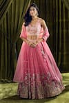 Buy_Alaya Advani_Pink Blouse Silk Hand Embroidery Butterfly Leaf Lehenga Set _at_Aza_Fashions