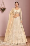 Buy_Kalighata_Grey Net Embroidery Floral Sweetheart Neck Hand Bridal Lehenga Set _at_Aza_Fashions