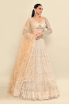 Shop_Kalighata_Grey Net Embroidery Floral Sweetheart Neck Hand Bridal Lehenga Set _Online_at_Aza_Fashions