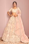 Buy_Kalighata_Pink Raw Silk Embroidery Floral Paan Neck Tania Hand Bridal Lehenga Set _at_Aza_Fashions