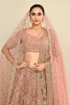 Kalighata_Pink Velvet Embroidered Cutdana Leaf Ethnic Motif Bridal Lehenga Set _Online