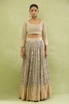 Suhino_Grey Lehenga And Blouse Chinon Embroidered Resham & Mirror Work Pleated Set _Online_at_Aza_Fashions