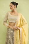 Buy_Suhino_Grey Lehenga And Blouse Chinon Embroidered Resham & Mirror Work Pleated Set _Online_at_Aza_Fashions