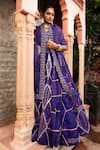 Buy_Laxmishriali_Blue Lehenga And Dupatta Organza Embroidered Dori Sweetheart & Sequin Set _Online_at_Aza_Fashions