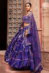 Laxmishriali_Blue Lehenga And Dupatta Organza Embroidered Dori Sweetheart & Sequin Set _at_Aza_Fashions