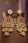 Shop_Riana Jewellery_Green Glitter, Stones Floral Vine Long Earrings _at_Aza_Fashions