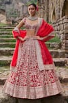 Buy_Anushree Reddy_Red Blouse And Lehenga Raw Silk Embroidery Zari Plunge V-neck Divila Bridal Set _at_Aza_Fashions