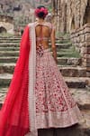 Anushree Reddy_Red Blouse And Lehenga Raw Silk Embroidery Zari Plunge V-neck Divila Bridal Set _Online_at_Aza_Fashions